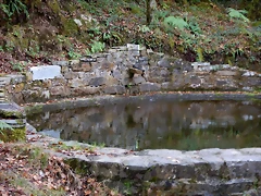 DSCN6913 DSCN6913
