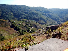 DSCN0452 DSCN0452