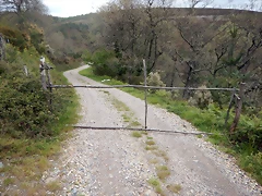 DSCN0543 DSCN0543