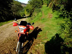 DSCN2085 DSCN2085