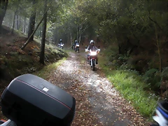 DSCN9745 DSCN9745