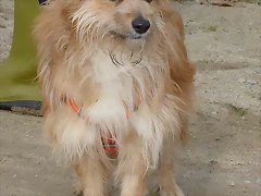 lilu3 lilu3