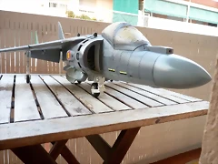 P1090278 P1090278