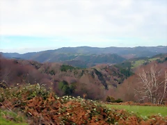 DSCN7868
