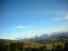 DSCN2520 DSCN2520