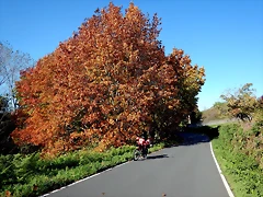 DSCN1021
