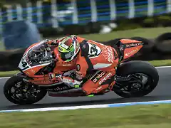 0243_P01_Giugliano_action