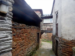 DSCN0350 DSCN0350