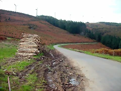 DSCN6246 DSCN6246