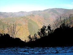 DSCN6775 DSCN6775