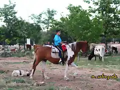 17, vaquero joven, marca