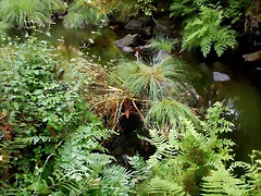DSCN8455 DSCN8455
