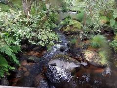 DSCN8463 DSCN8463