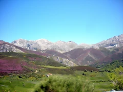 DSCN8539 DSCN8539