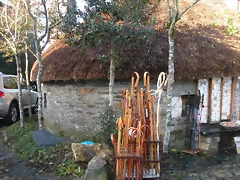 DSCN0417