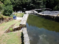 DSCN7716 DSCN7716