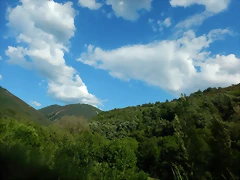 DSCN2420 DSCN2420