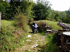 DSCN9689 DSCN9689