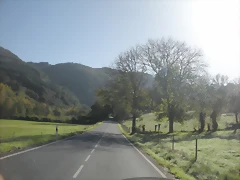 DSCN9984 DSCN9984