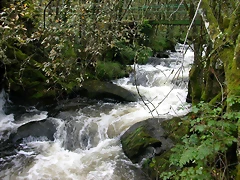 DSCN5751 DSCN5751