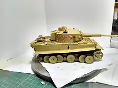 Tiger73