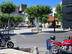 IMG_7529 IMG_7529