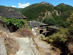 DSCN7782 DSCN7782