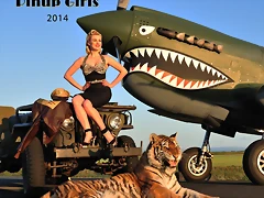 204cover