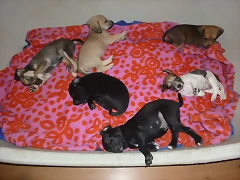 BEBES_DE_SALINA_EN_ACOGIDA