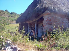 DSCN2618 DSCN2618