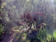 DSCN2646 DSCN2646