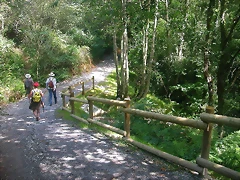 DSCN2718 DSCN2718