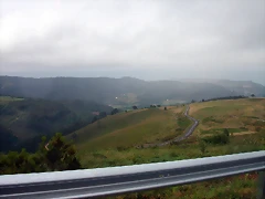 DSCN2444 DSCN2444