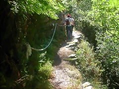 DSCN2526 DSCN2526