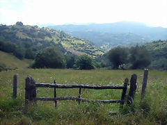 DSCN2710 DSCN2710