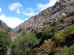 DSCN2536 DSCN2536