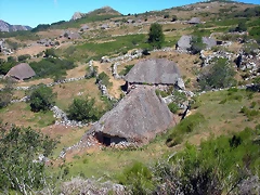 DSCN2615 DSCN2615