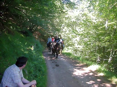 DSCN2637 DSCN2637