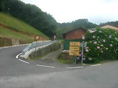DSCN2430 DSCN2430