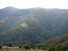 DSCN2441 DSCN2441