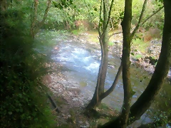 DSCN2503 DSCN2503