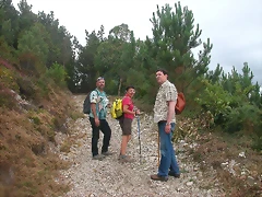 DSCN2453 DSCN2453