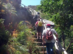 DSCN2529 DSCN2529