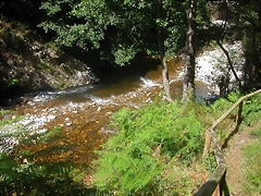 DSCN2542 DSCN2542