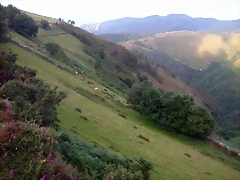 DSCN2578 DSCN2578