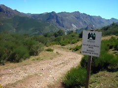 DSCN2630 DSCN2630