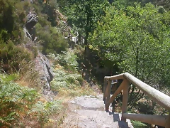 DSCN2534 DSCN2534