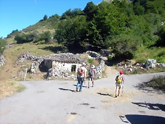 DSCN2595 DSCN2595