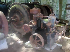 DSCN2496 DSCN2496