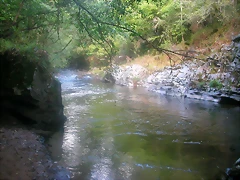 DSCN2501 DSCN2501